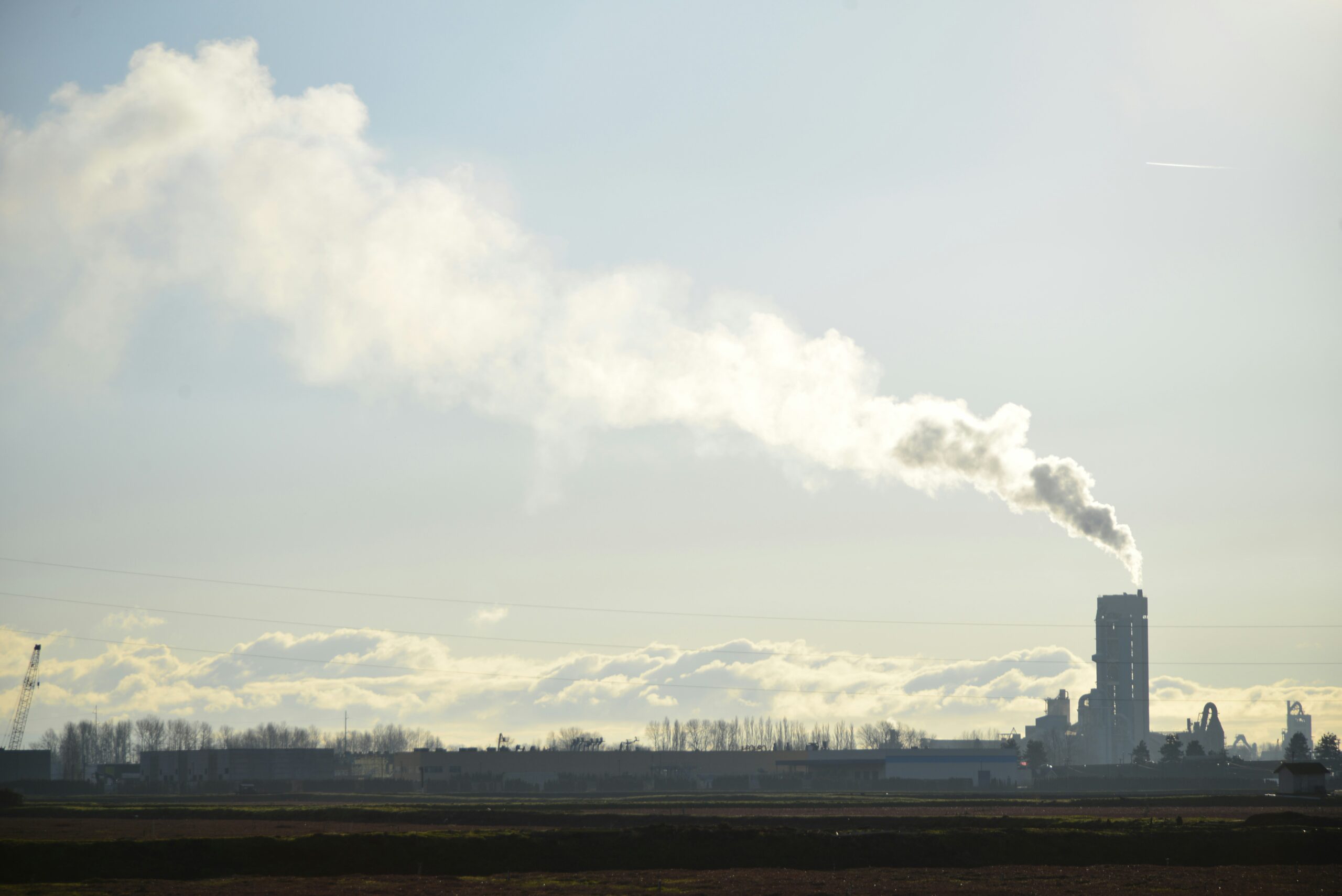 Yokogawa secures SBTi validation for net-zero targets