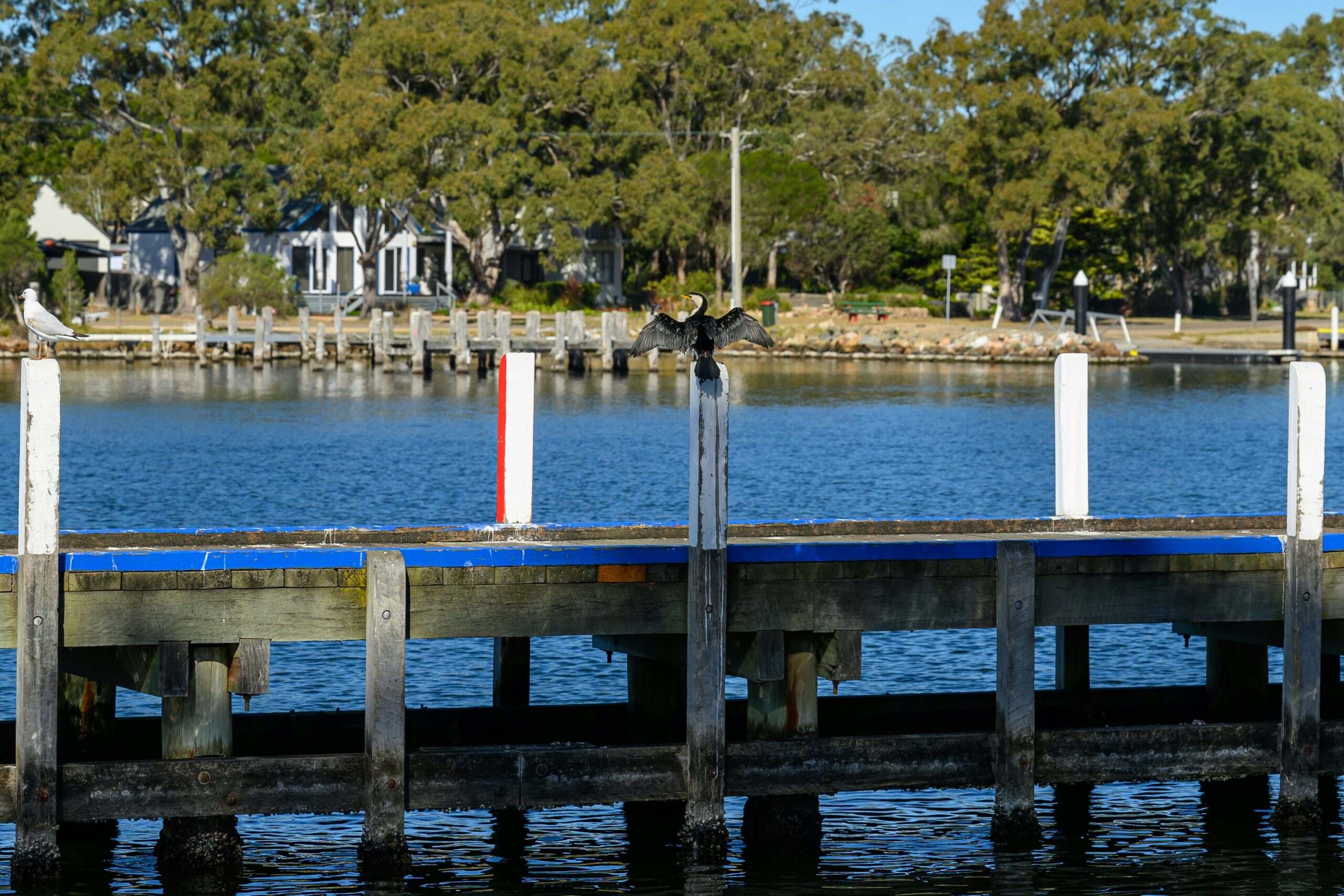 Victoria, Australia bans data centres from residential areas amid resource concerns